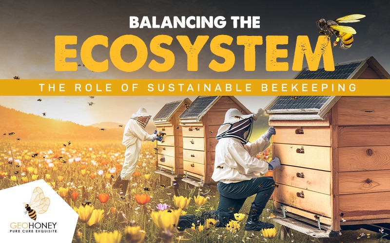 Balancing the Ecosystem: The Role of Sustainable Beekeeping